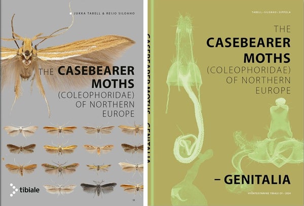 The Casebearer Moths (Coleophoridae) of Northern Europe - COMBO 2 BOOKS